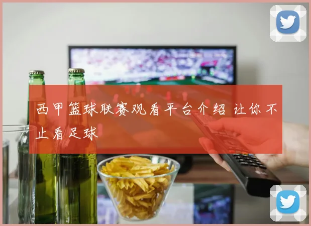 西甲篮球联赛观看平台介绍 让你不止看足球