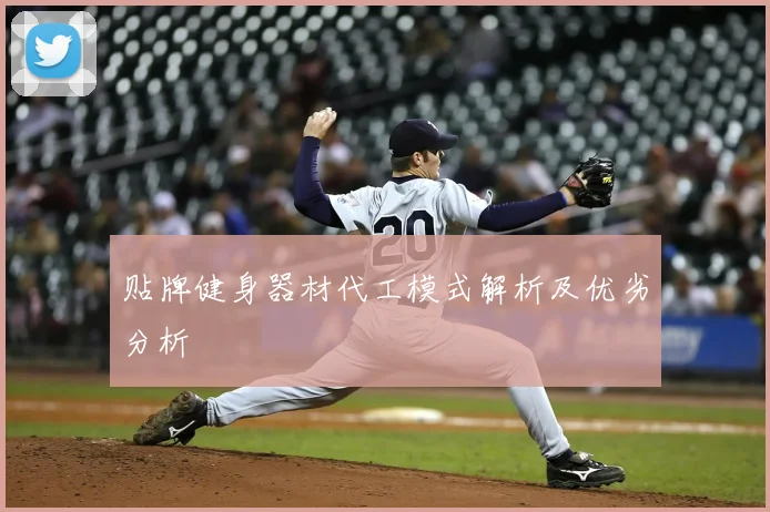 贴牌健身器材代工模式解析及优劣分析