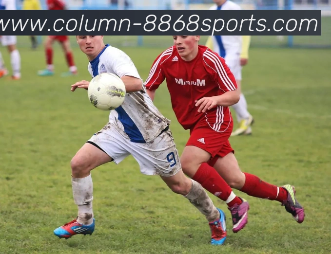 8868体育APP 封面图